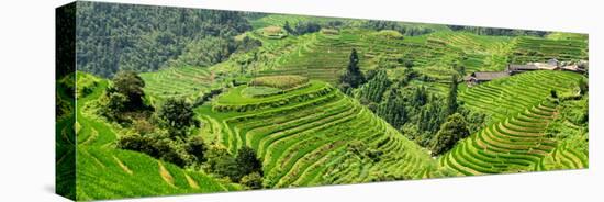 China 10MKm2 Collection - Rice Terraces - Longsheng Ping'an - Guangxi-Philippe Hugonnard-Premier Image Canvas