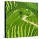 China 10MKm2 Collection - Rice Terraces - Longsheng Ping'an - Guangxi-Philippe Hugonnard-Premier Image Canvas
