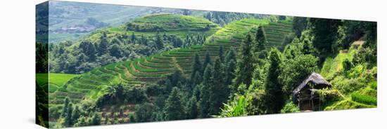 China 10MKm2 Collection - Rice Terraces - Longsheng Ping'an - Guangxi-Philippe Hugonnard-Premier Image Canvas