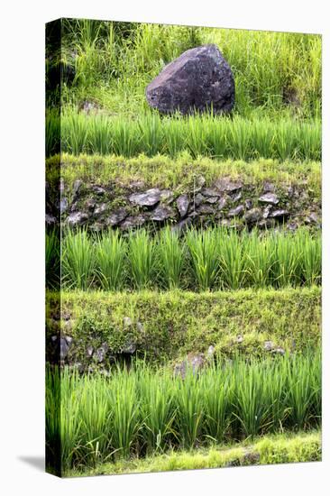 China 10MKm2 Collection - Rice Terraces - Longsheng Ping'an - Guangxi-Philippe Hugonnard-Premier Image Canvas