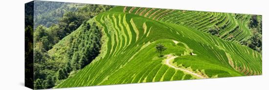 China 10MKm2 Collection - Rice Terraces - Longsheng Ping'an - Guangxi-Philippe Hugonnard-Premier Image Canvas