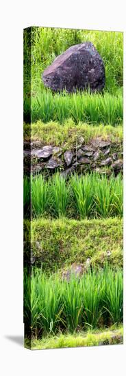 China 10MKm2 Collection - Rice Terraces - Longsheng Ping'an - Guangxi-Philippe Hugonnard-Premier Image Canvas