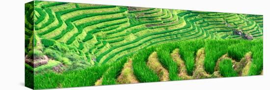 China 10MKm2 Collection - Rice Terraces - Longsheng Ping'an - Guangxi-Philippe Hugonnard-Premier Image Canvas