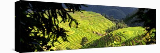 China 10MKm2 Collection - Rice Terraces - Longsheng Ping'an - Guangxi-Philippe Hugonnard-Premier Image Canvas