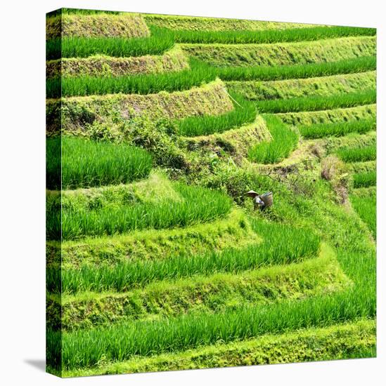 China 10MKm2 Collection - Rice Terraces - Longsheng Ping'an - Guangxi-Philippe Hugonnard-Premier Image Canvas