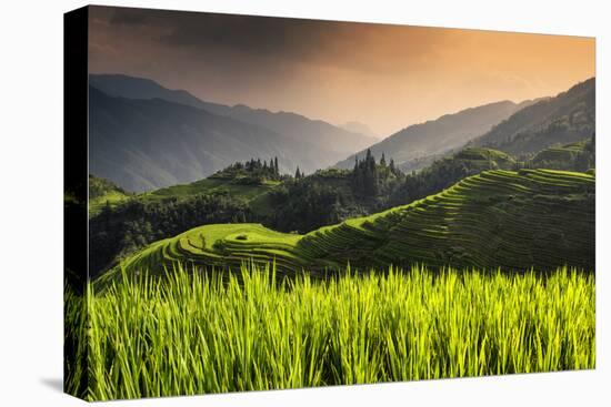 China 10MKm2 Collection - Rice Terraces - Longsheng Ping'an - Guangxi-Philippe Hugonnard-Premier Image Canvas