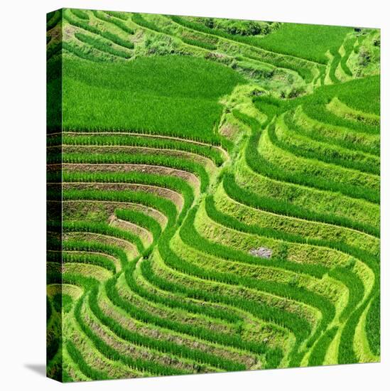 China 10MKm2 Collection - Rice Terraces - Longsheng Ping'an - Guangxi-Philippe Hugonnard-Premier Image Canvas