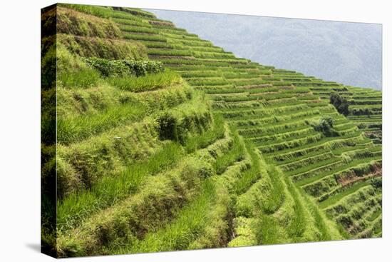 China 10MKm2 Collection - Rice Terraces - Longsheng Ping'an - Guangxi-Philippe Hugonnard-Premier Image Canvas