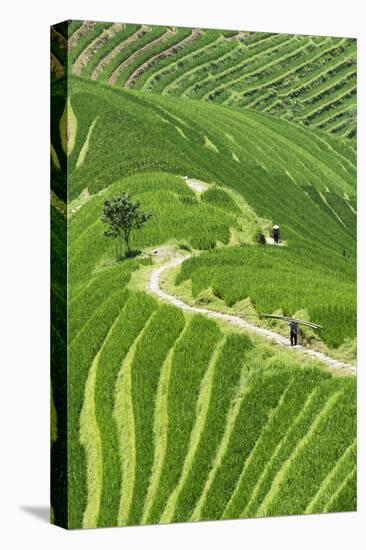 China 10MKm2 Collection - Rice Terraces - Longsheng Ping'an - Guangxi-Philippe Hugonnard-Premier Image Canvas