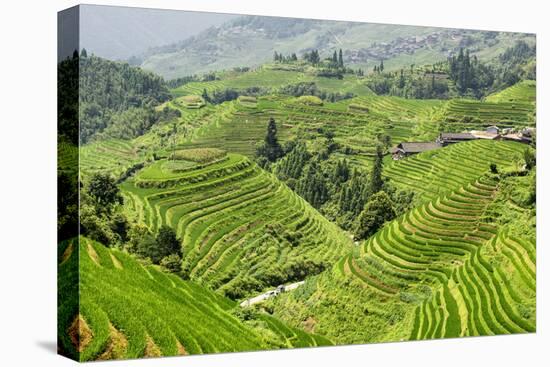 China 10MKm2 Collection - Rice Terraces - Longsheng Ping'an - Guangxi-Philippe Hugonnard-Premier Image Canvas