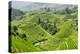 China 10MKm2 Collection - Rice Terraces - Longsheng Ping'an - Guangxi-Philippe Hugonnard-Premier Image Canvas