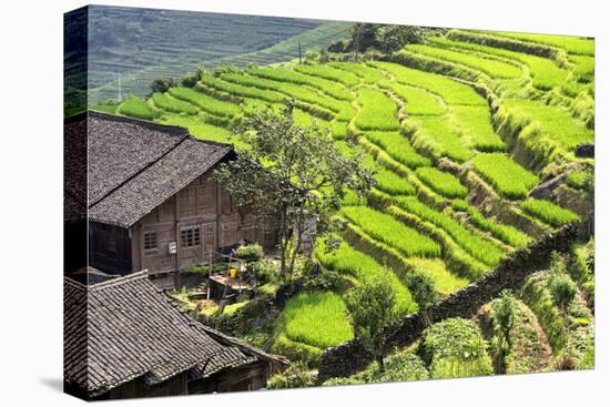 China 10MKm2 Collection - Rice Terraces - Longsheng Ping'an - Guangxi-Philippe Hugonnard-Premier Image Canvas