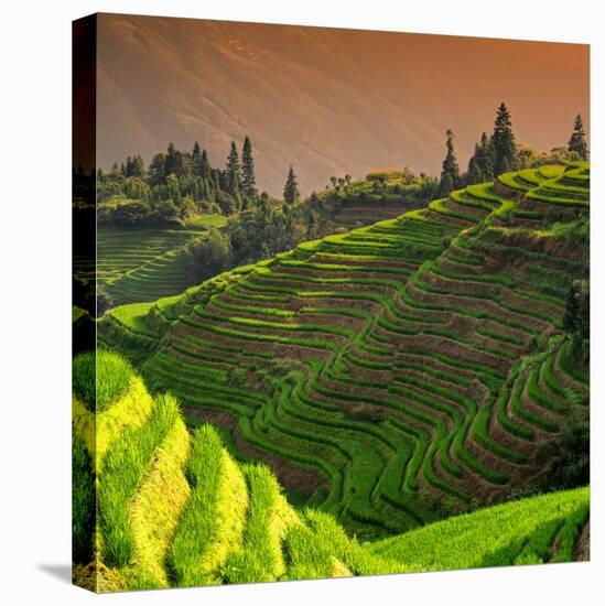 China 10MKm2 Collection - Rice Terraces - Longsheng Ping'an - Guangxi-Philippe Hugonnard-Premier Image Canvas