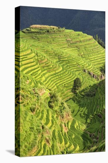 China 10MKm2 Collection - Rice Terraces - Longsheng Ping'an - Guangxi-Philippe Hugonnard-Premier Image Canvas