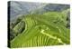 China 10MKm2 Collection - Rice Terraces - Longsheng Ping'an - Guangxi-Philippe Hugonnard-Premier Image Canvas