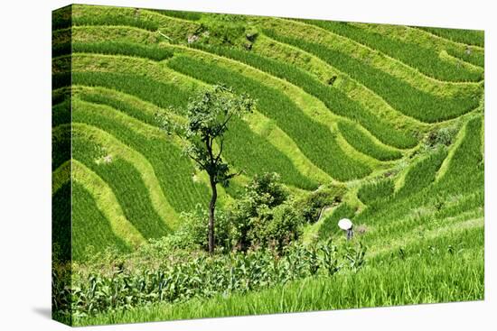 China 10MKm2 Collection - Rice Terraces - Longsheng Ping'an - Guangxi-Philippe Hugonnard-Premier Image Canvas