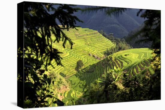 China 10MKm2 Collection - Rice Terraces - Longsheng Ping'an - Guangxi-Philippe Hugonnard-Premier Image Canvas