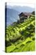 China 10MKm2 Collection - Rice Terraces - Longsheng Ping'an - Guangxi-Philippe Hugonnard-Premier Image Canvas