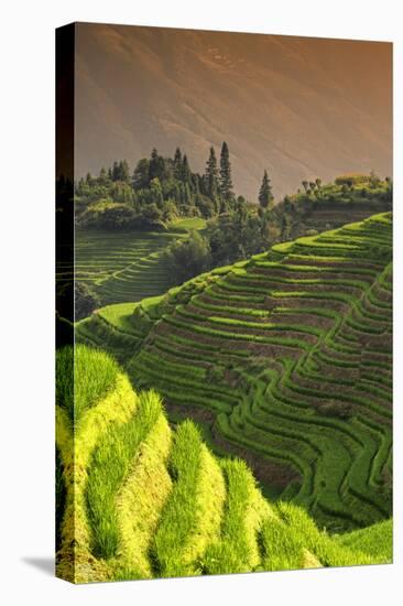 China 10MKm2 Collection - Rice Terraces - Longsheng Ping'an - Guangxi-Philippe Hugonnard-Premier Image Canvas