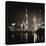 China 10MKm2 Collection - Shanghai Skyline with Oriental Pearl Tower at night-Philippe Hugonnard-Premier Image Canvas