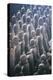 China 10MKm2 Collection - Terracotta Army-Philippe Hugonnard-Premier Image Canvas