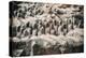 China 10MKm2 Collection - Terracotta Army-Philippe Hugonnard-Premier Image Canvas