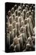 China 10MKm2 Collection - Terracotta Army-Philippe Hugonnard-Premier Image Canvas