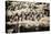 China 10MKm2 Collection - Terracotta Army-Philippe Hugonnard-Premier Image Canvas