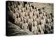 China 10MKm2 Collection - Terracotta Army-Philippe Hugonnard-Premier Image Canvas