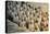 China 10MKm2 Collection - Terracotta Army-Philippe Hugonnard-Premier Image Canvas