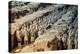 China 10MKm2 Collection - Terracotta Army-Philippe Hugonnard-Premier Image Canvas