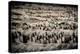 China 10MKm2 Collection - Terracotta Army-Philippe Hugonnard-Premier Image Canvas