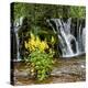 China 10MKm2 Collection - Waterfalls in the Jiuzhaigou National Park-Philippe Hugonnard-Premier Image Canvas