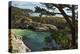 China Cove, Point Lobos State Reserve, Carmel, California, USA-Michel Hersen-Premier Image Canvas