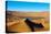 China, Inner Mongolia, Badain Jaran Desert, Gobi Desert-Tuul And Bruno Morandi-Premier Image Canvas