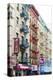 Chinatown, Manhattan, New York City, United States of America, North America-Fraser Hall-Premier Image Canvas