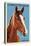 Chincoteague, Virginia - Horse-Lantern Press-Stretched Canvas