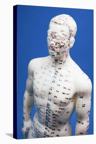 Chinese Acupuncture Model-null-Premier Image Canvas