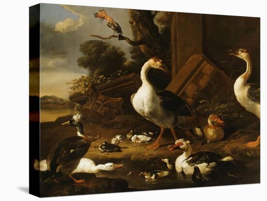 Chinese and Egyptian Geese and Other Birds in a Landscape with Ruins Nearby-Melchior de Hondecoeter-Premier Image Canvas