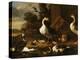 Chinese and Egyptian Geese and Other Birds in a Landscape with Ruins Nearby-Melchior de Hondecoeter-Premier Image Canvas