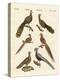 Chinese Birds-null-Premier Image Canvas