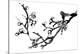 Chinese Black And White Traditional Ink Painting, Plum Blossom On White Background-elwynn-Stretched Canvas