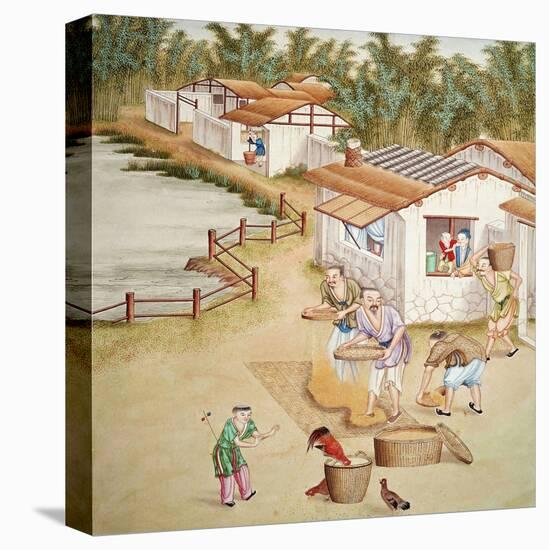Chinese Farmers Sieving Rice-null-Premier Image Canvas