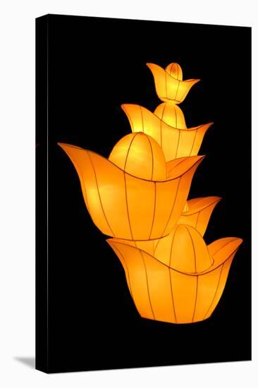 Chinese Gold Ingot Lantern-Liang Zhang-Premier Image Canvas