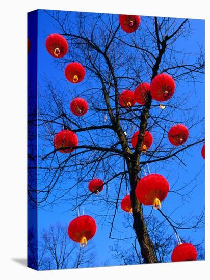 Chinese Lanterns Hanging from Trees in Tivoli Gardens, Copenhagen, Denmark-Izzet Keribar-Premier Image Canvas