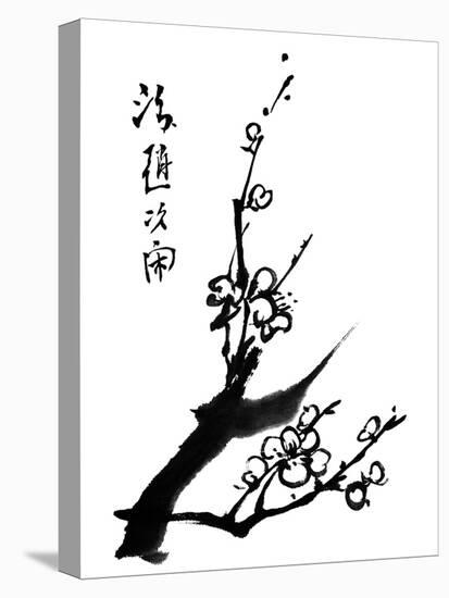 Chinese Painting Of Flowers, Plum Blossom, On White Background-elwynn-Stretched Canvas