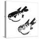 Chinese Painting Of Swellfish On White Background-elwynn-Stretched Canvas