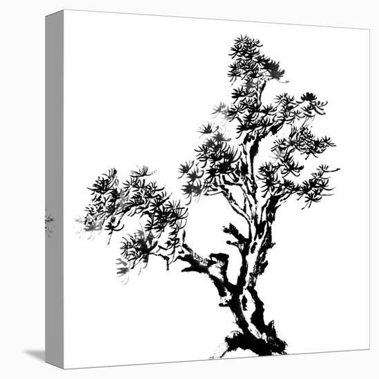 Chinese Traditional Ink Painting, Pine Tree On White Background-elwynn-Stretched Canvas