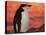 Chinstrap Penguin at Sunset, Antarctica-Edwin Giesbers-Premier Image Canvas