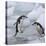 Chinstrap Penguins on ice, South Orkney Islands, Antarctica-Keren Su-Premier Image Canvas